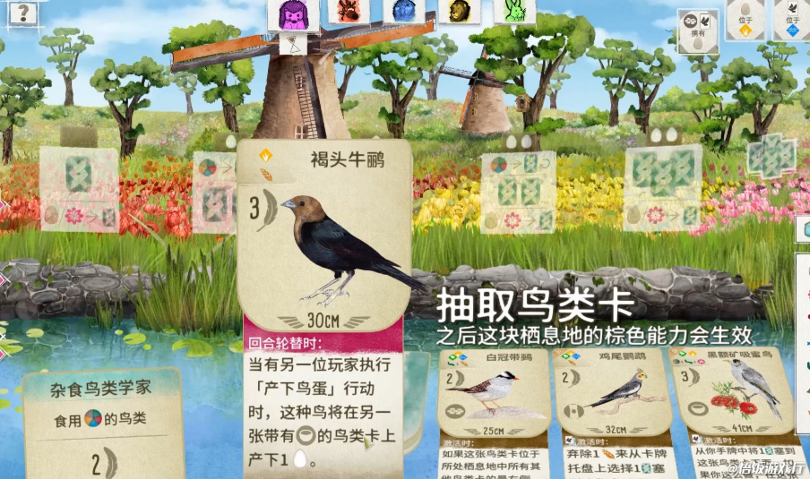 图片.png